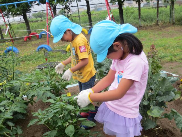 南幼稚園の特色2