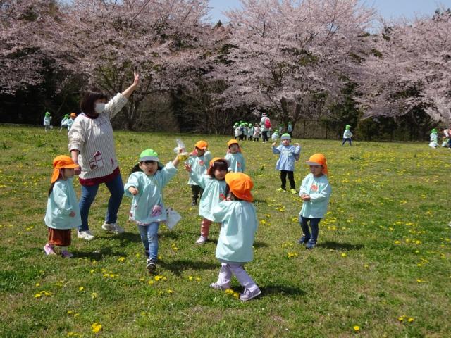 さくらんぼこども園の特色のある活動6