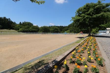 さくらんぼこども園園庭3