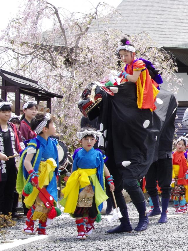 入選「伝承・古式獅子舞(春」)