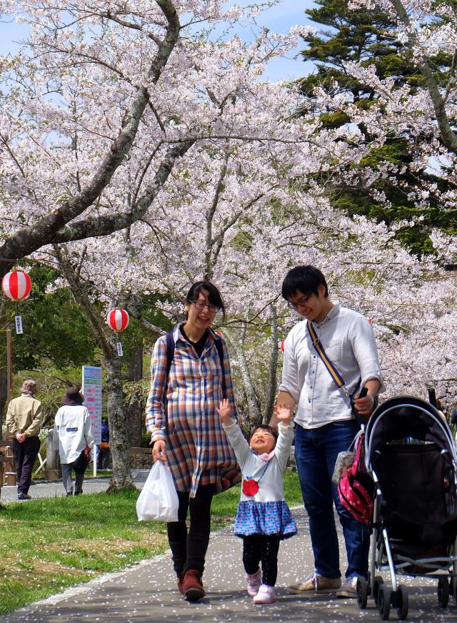 特選「春の城山」