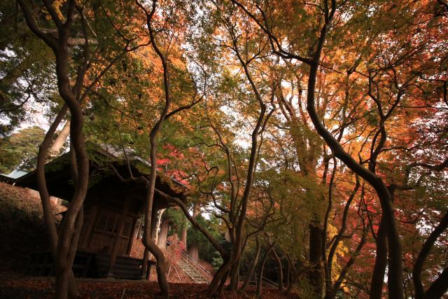 秋の箟峯寺2