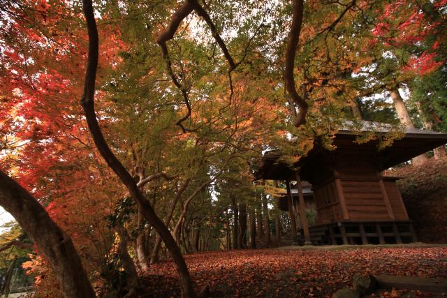 秋の箟峯寺3