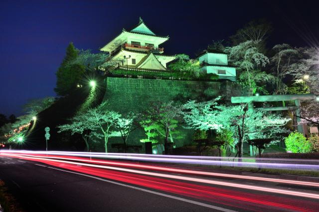 準特選「桜祭りの夜」