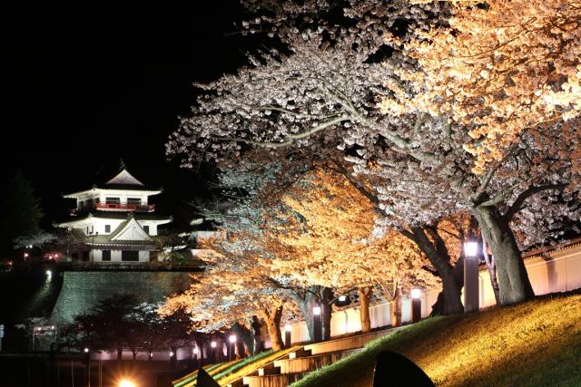 城山公園桜