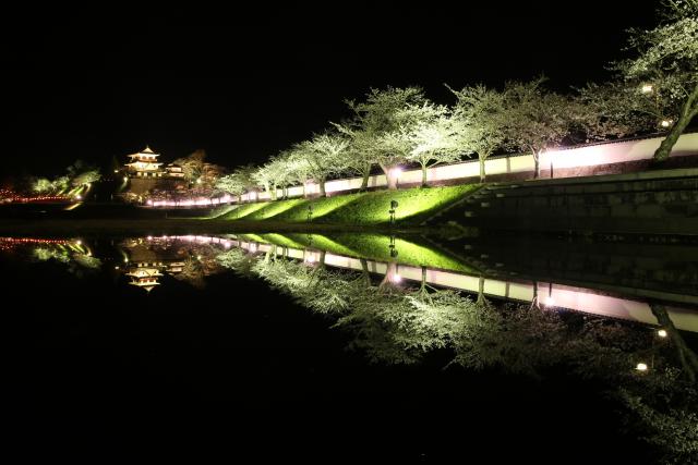 夜の逆さ城山