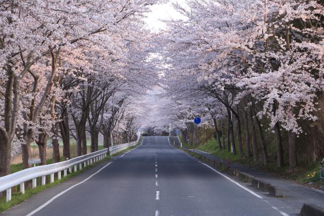 城山公園周辺4