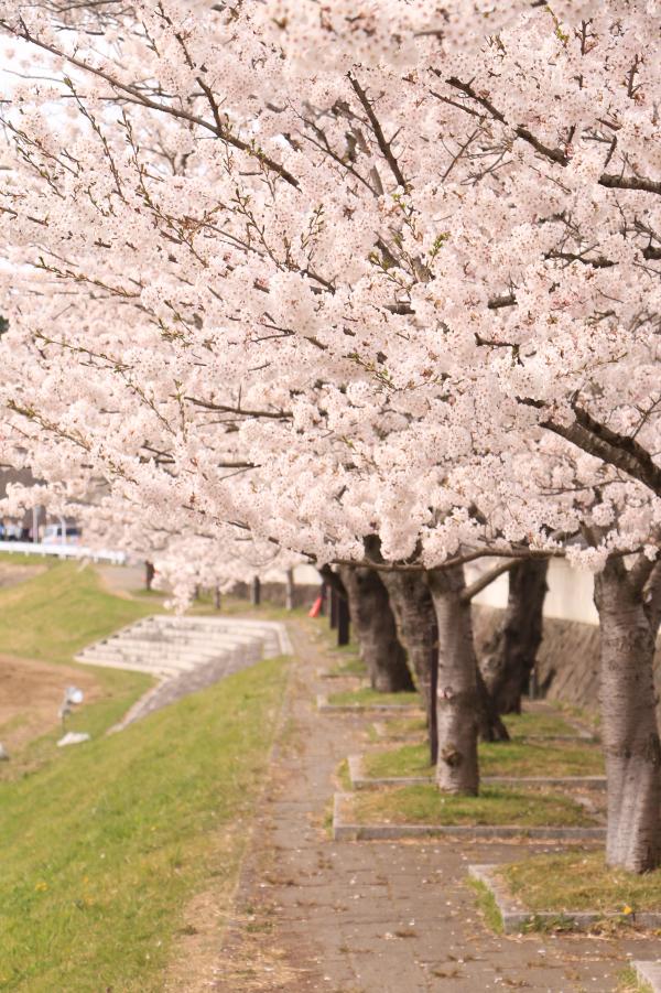 城山公園周辺9