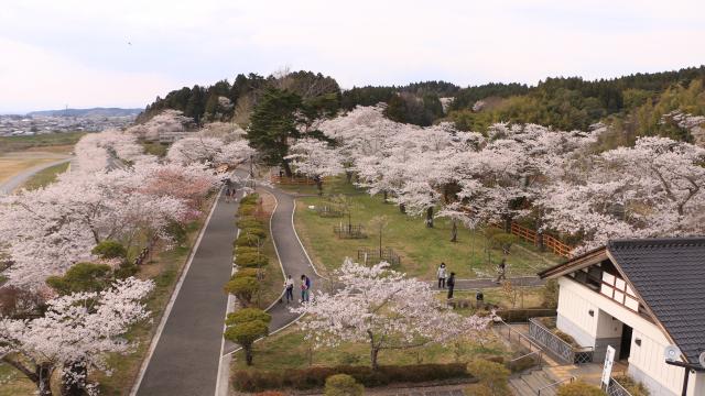 城山公園周辺11