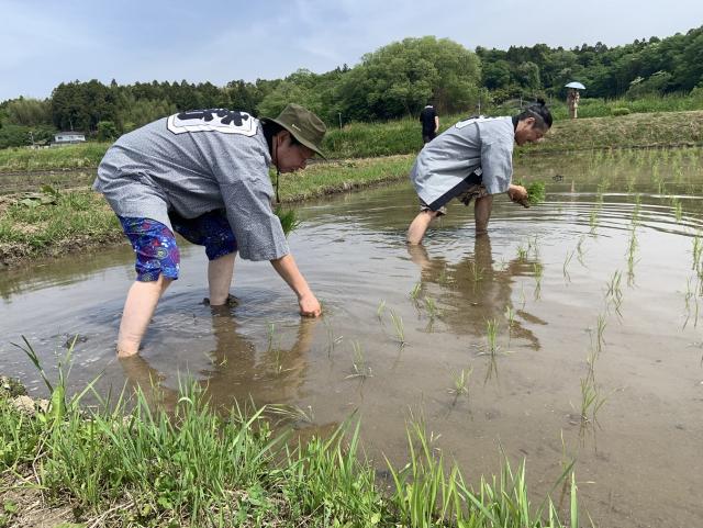 田植え1