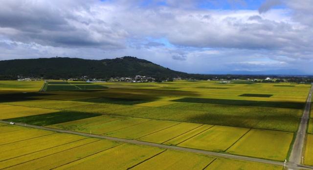 構成文化財・箟岳山1